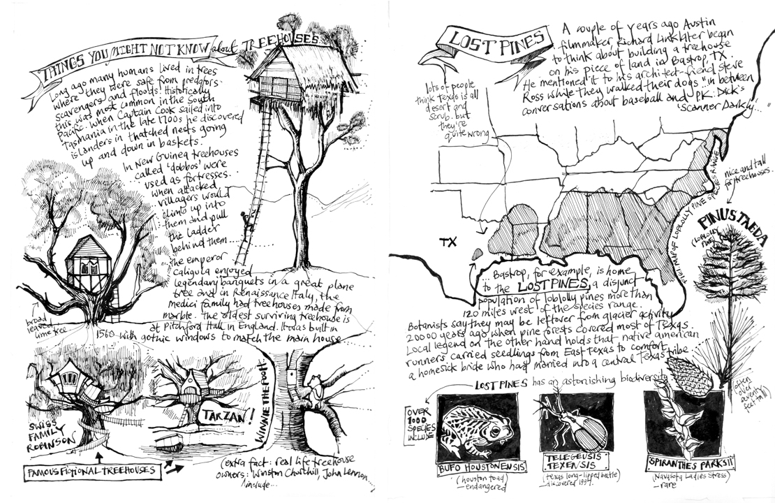 Field Notes from a Treehouse